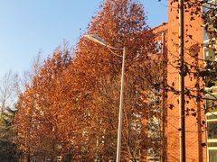 -北京市海淀外国语实验学校