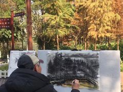 -重庆彩云湖湿地公园