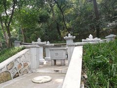 -镇江市南山风景名胜区竹林景区