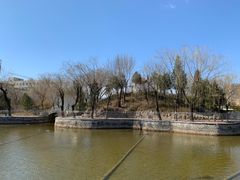 -黄村公园