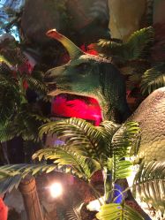 -恐龙探索乐园(磁器口店)