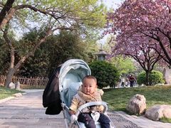 -大雁塔北广场音乐喷泉