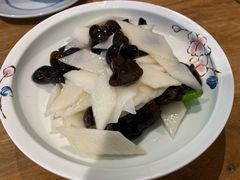 -椿不老