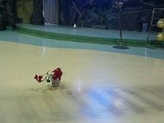 -哈老太太(联盟路店)