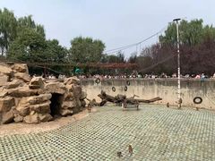 -西安秦岭野生动物园