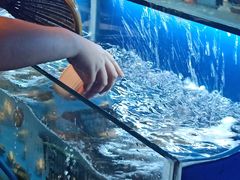 -芭菲盛宴·环球美食(北城国际店)