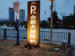 -合肥大剧院