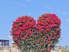 -东莞植物园