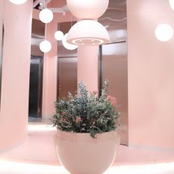 -好看加白色房子