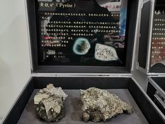 -中国第四纪冰川遗迹陈列馆