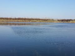 android_upload_pic-溱湖国家湿地公园