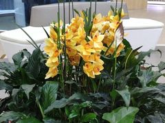 -中国建设银行(上海虹桥会展支行)