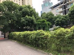 -荣府宴(南阳路店)