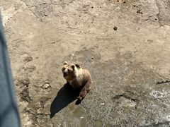 -哈尔滨北方森林动物园