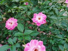 -人民公园(罗湖区)