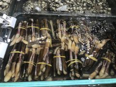 -盒马鲜生(曜一城店)