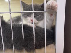 -三旗百汇商品城