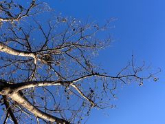 -汉长安城未央宫国家考古遗址公园