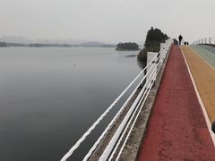 -贡湖湾湿地公园