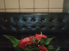-沐源阁·影院式足道·水疗SPA