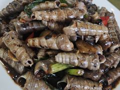 -阳江餐厅·30年老字号·粤菜海鲜大排档
