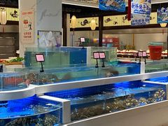 -渔人码头(中南店)