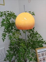 -变美丽半永久纹眉连锁·机器野生眉·洗眉