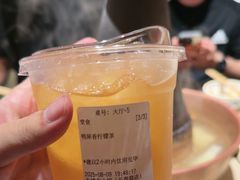 -东镇老火锅(长春路首店)