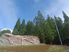 -东平国家森林公园