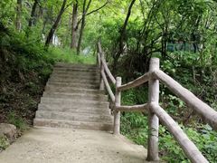 -太平万花山景区