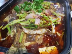 -金厨帽烤鱼(芦庄店)