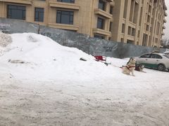 -长白山万达国际滑雪场