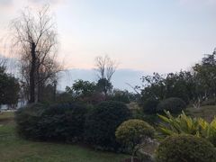 -铁山坪森林公园