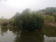 -鹦鹉寺公园