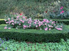 -人民公园(罗湖区)