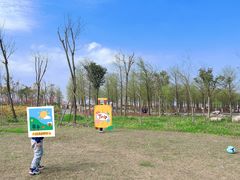 -春花秋色城市公园