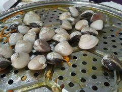 -凯盈阁·顺德私房菜·桑拿鸡