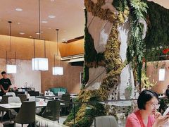 -阿露佳·舌尖上的安吉菜