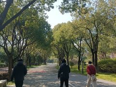 -贡湖湾湿地公园