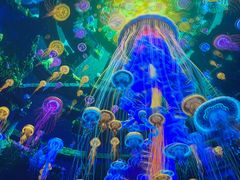 -海合安成都极地海洋公园
