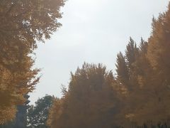 -玲珑塔公园