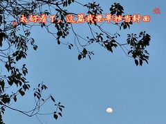 -蜀辣居鲜货老火锅(双流万达店)