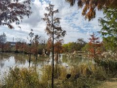 -上海长兴岛郊野公园