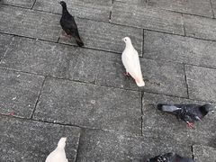 -六祖寺