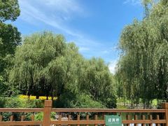 -上海滨江森林公园