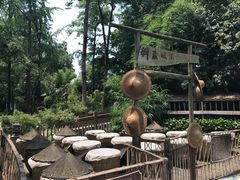 -王家渡火锅(三苏祠店)