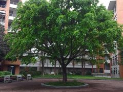 -华南师范大学(广州大学城校区)