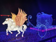 -飞凤山奥体公园