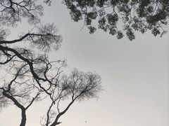 -广州市白云山风景名胜区