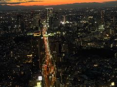 -六本木新城展望台(东京城市景观)